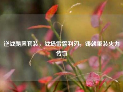 逆战飓风套装，战场雷霆利刃，铸就重装火力传奇