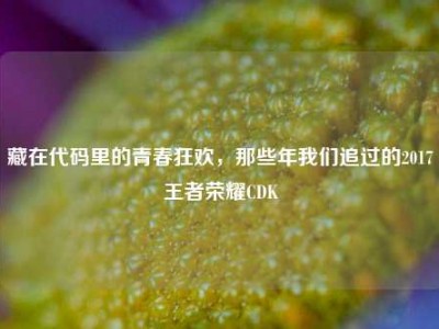藏在代码里的青春狂欢，那些年我们追过的2017王者荣耀CDK