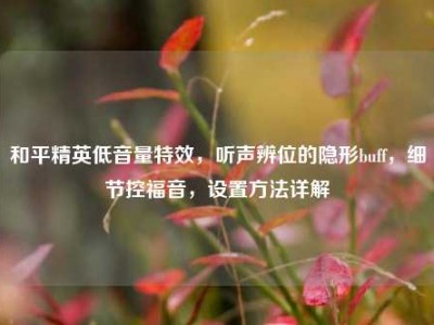 和平精英低音量特效，听声辨位的隐形buff，细节控福音，设置方法详解