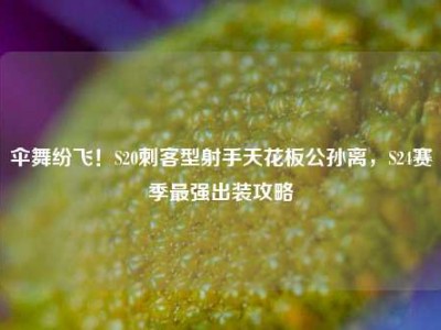 伞舞纷飞！S20刺客型射手天花板公孙离，S24赛季最强出装攻略