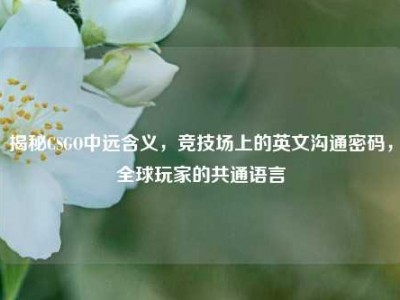 揭秘CSGO中远含义，竞技场上的英文沟通密码，全球玩家的共通语言