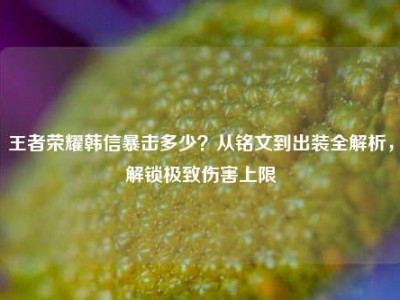 王者荣耀韩信暴击多少？从铭文到出装全解析，解锁极致伤害上限