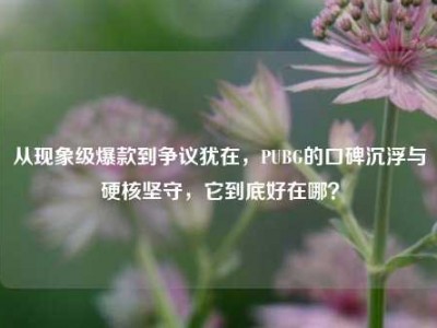 从现象级爆款到争议犹在，PUBG的口碑沉浮与硬核坚守，它到底好在哪？