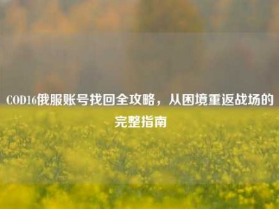COD16俄服账号找回全攻略，从困境重返战场的完整指南