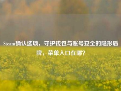 Steam确认选项，守护钱包与账号安全的隐形盾牌，菜单入口在哪？