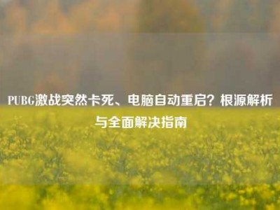 PUBG激战突然卡死、电脑自动重启？根源解析与全面解决指南