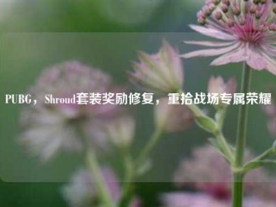 PUBG，Shroud套装奖励修复，重拾战场专属荣耀