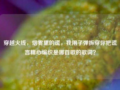 穿越火线，烟雾里的谎，我用子弹拆穿你把谎言精心编织是哪首歌的歌词？