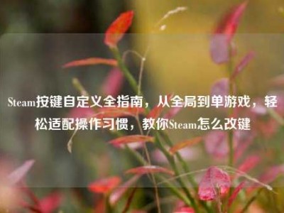 Steam按键自定义全指南，从全局到单游戏，轻松适配操作习惯，教你Steam怎么改键