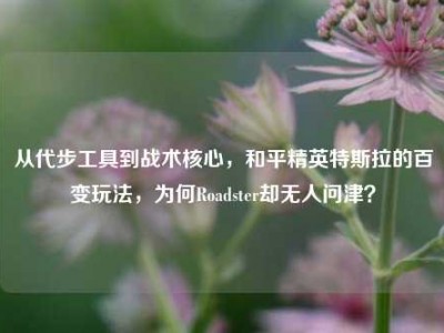 从代步工具到战术核心，和平精英特斯拉的百变玩法，为何Roadster却无人问津？