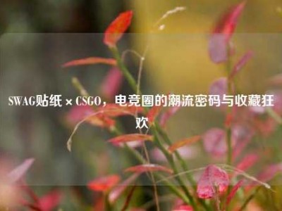 SWAG贴纸×CSGO，电竞圈的潮流密码与收藏狂欢