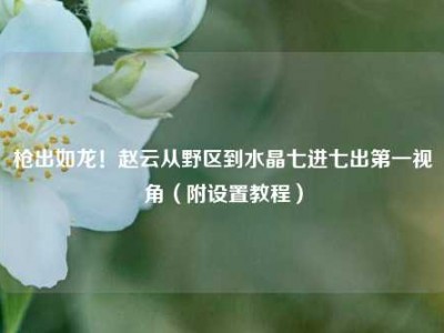 枪出如龙！赵云从野区到水晶七进七出第一视角（附设置教程）