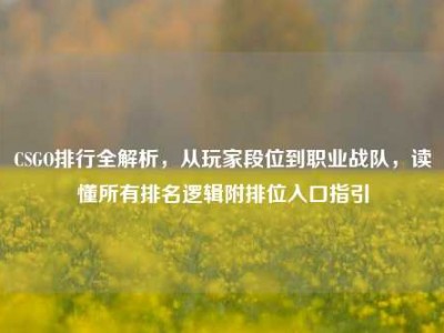 CSGO排行全解析，从玩家段位到职业战队，读懂所有排名逻辑附排位入口指引