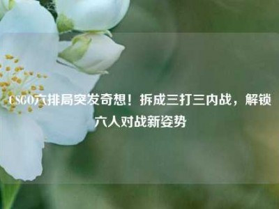 CSGO六排局突发奇想！拆成三打三内战，解锁六人对战新姿势