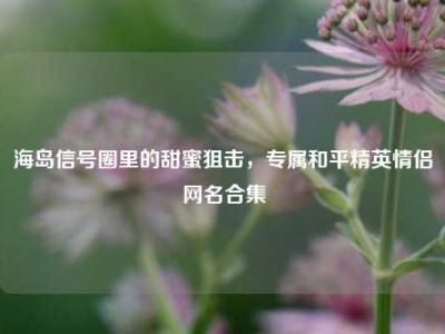 海岛信号圈里的甜蜜狙击，专属和平精英情侣网名合集