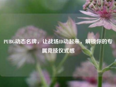 PUBG动态名牌，让战场ID动起来，解锁你的专属竞技仪式感