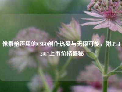像素枪声里的CSGO创作热爱与无限可能，附iPad 2017上市价格揭秘