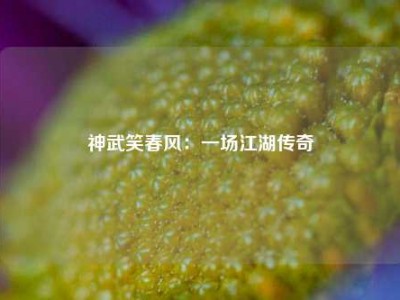 神武笑春风：一场江湖传奇