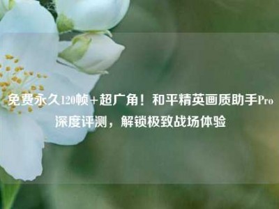 免费永久120帧+超广角！和平精英画质助手Pro深度评测，解锁极致战场体验