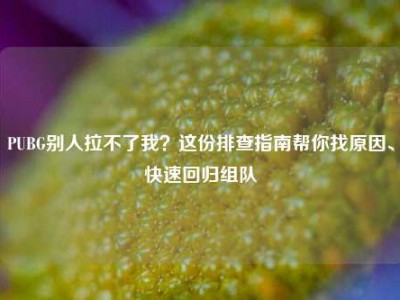 PUBG别人拉不了我？这份排查指南帮你找原因、快速回归组队