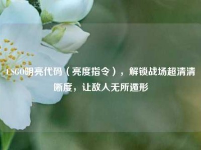 CSGO明亮代码（亮度指令），解锁战场超清清晰度，让敌人无所遁形