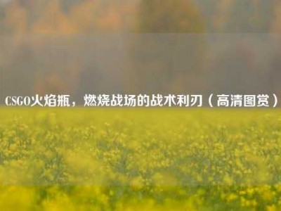 CSGO火焰瓶，燃烧战场的战术利刃（高清图赏）