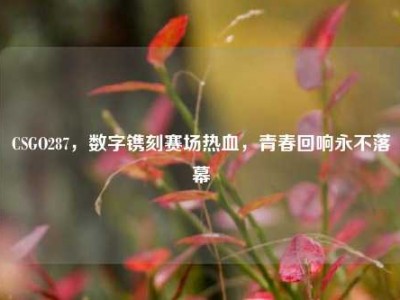 CSGO287，数字镌刻赛场热血，青春回响永不落幕