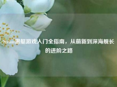 Steam潜艇游戏入门全指南，从萌新到深海舰长的进阶之路