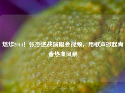燃炸2014！张杰逆战演唱会视频，用歌声掀起青春热血风暴