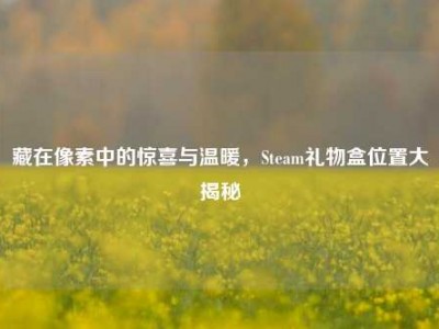 藏在像素中的惊喜与温暖，Steam礼物盒位置大揭秘