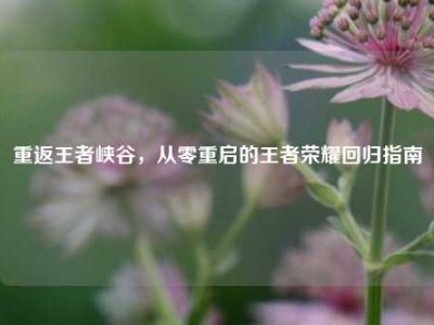 重返王者峡谷，从零重启的王者荣耀回归指南