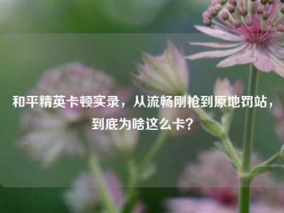和平精英卡顿实录，从流畅刚枪到原地罚站，到底为啥这么卡？