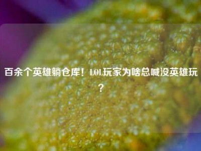 百余个英雄躺仓库！LOL玩家为啥总喊没英雄玩？