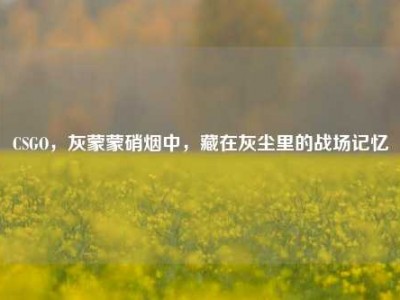 CSGO，灰蒙蒙硝烟中，藏在灰尘里的战场记忆
