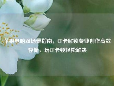 苹果电脑双场景指南，CF卡解锁专业创作高效存储，玩CF卡顿轻松解决