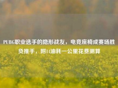 PUBG职业选手的隐形战友，电竞座椅成赛场胜负推手，附14油耗一公里花费测算
