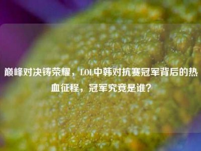 巅峰对决铸荣耀，LOL中韩对抗赛冠军背后的热血征程，冠军究竟是谁？