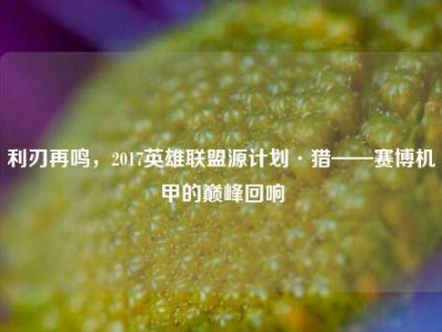 利刃再鸣，2017英雄联盟源计划·猎——赛博机甲的巅峰回响