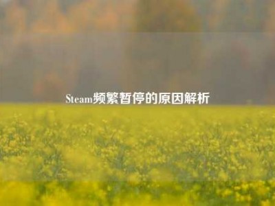 Steam频繁暂停的原因解析