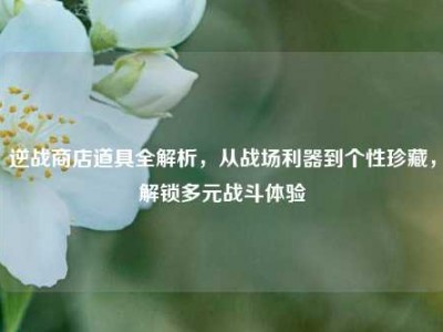 逆战商店道具全解析，从战场利器到个性珍藏，解锁多元战斗体验