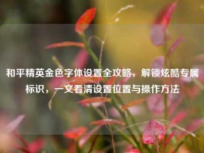 和平精英金色字体设置全攻略，解锁炫酷专属标识，一文看清设置位置与操作方法
