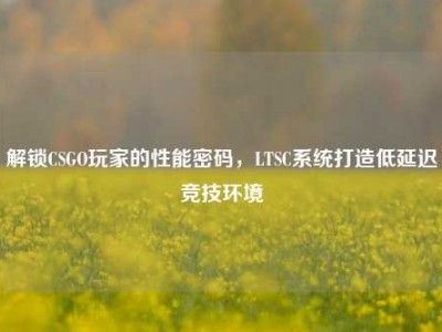 解锁CSGO玩家的性能密码，LTSC系统打造低延迟竞技环境