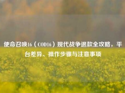 使命召唤16（COD16）现代战争退款全攻略，平台差异、操作步骤与注意事项