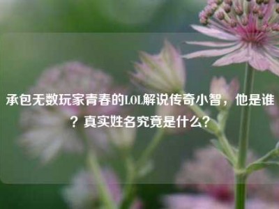承包无数玩家青春的LOL解说传奇小智，他是谁？真实姓名究竟是什么？