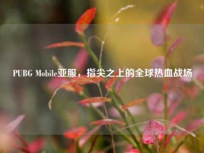 PUBG Mobile亚服，指尖之上的全球热血战场