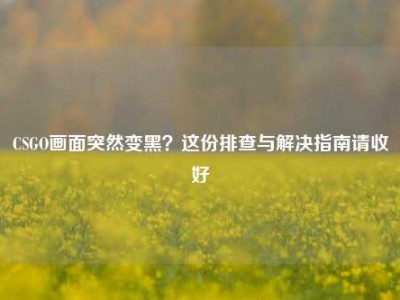 CSGO画面突然变黑？这份排查与解决指南请收好