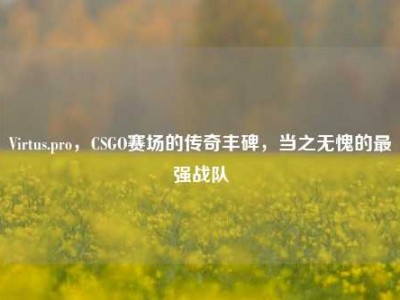 Virtus.pro，CSGO赛场的传奇丰碑，当之无愧的最强战队