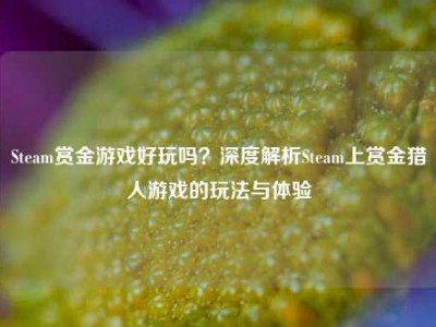 Steam赏金游戏好玩吗？深度解析Steam上赏金猎人游戏的玩法与体验