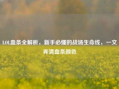 LOL血条全解析，新手必懂的战场生命线，一文弄清血条颜色