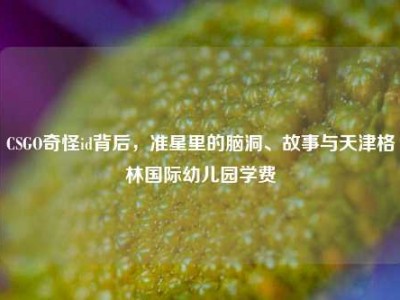 CSGO奇怪id背后，准星里的脑洞、故事与天津格林国际幼儿园学费